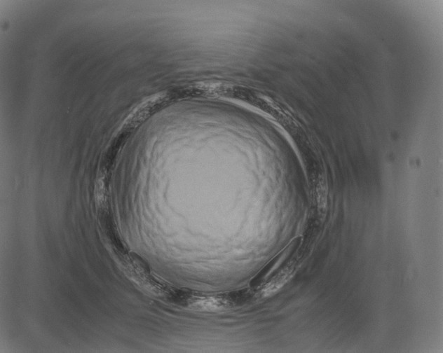 X0000083640611200703121721