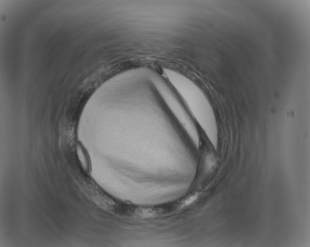 X0000083640613200703121721