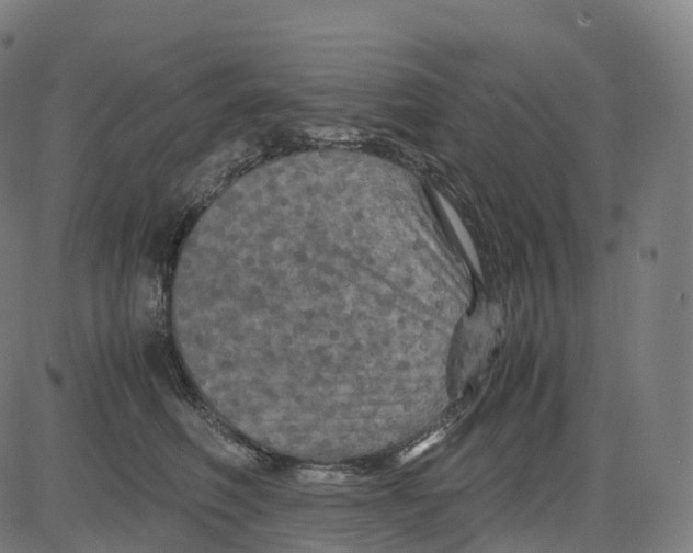 X0000083640614200703121721