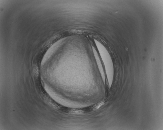 X0000083640617200703121721