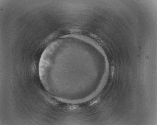 X0000083640618200703121721