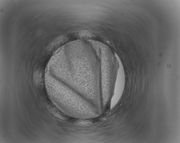 X0000083640619200703121721