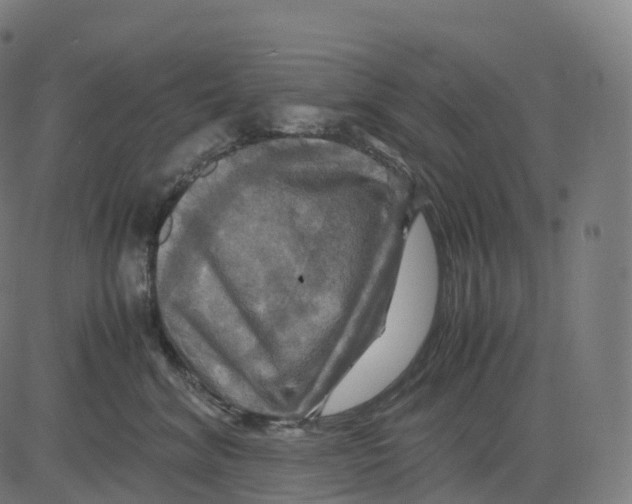 X0000083640620200703121721