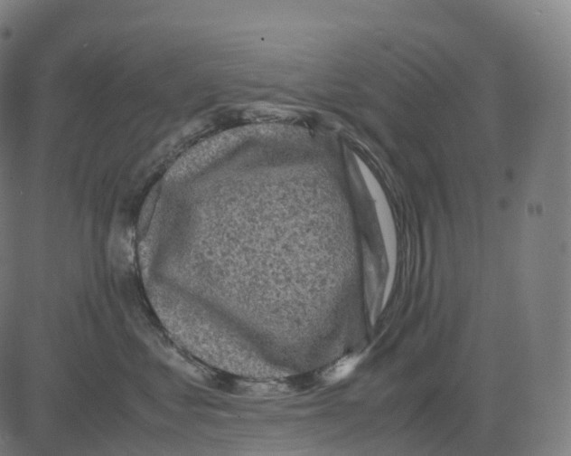 X0000083640621200703121721