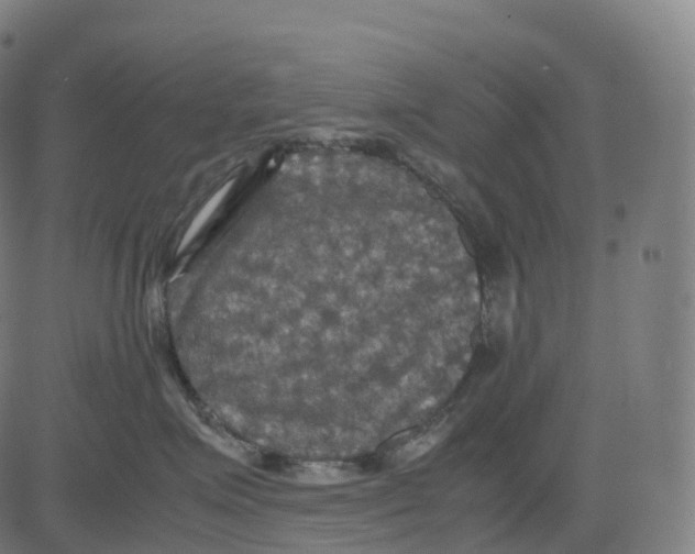 X0000083640623200703121721