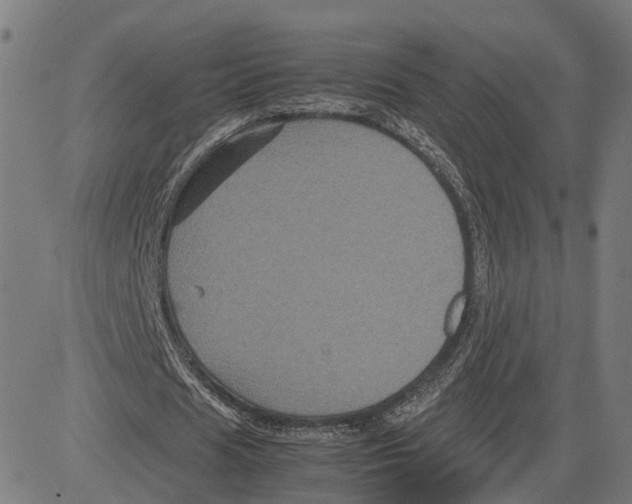 X0000083640625200703121720