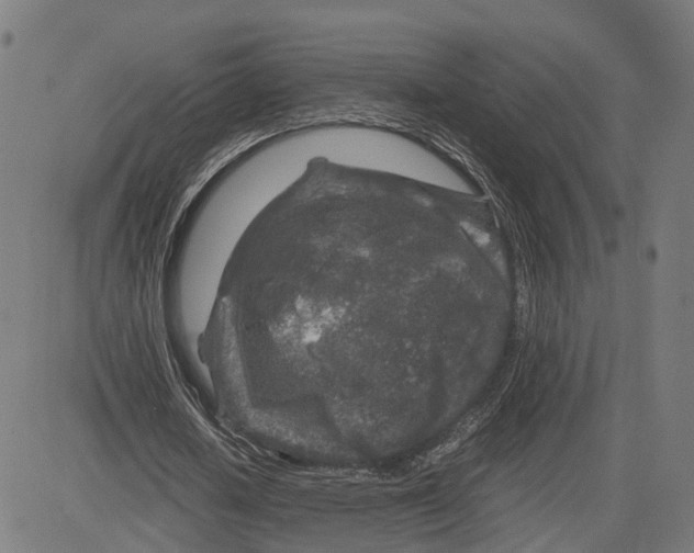 X0000083640626200703121720