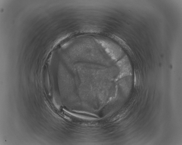 X0000083640627200703121720