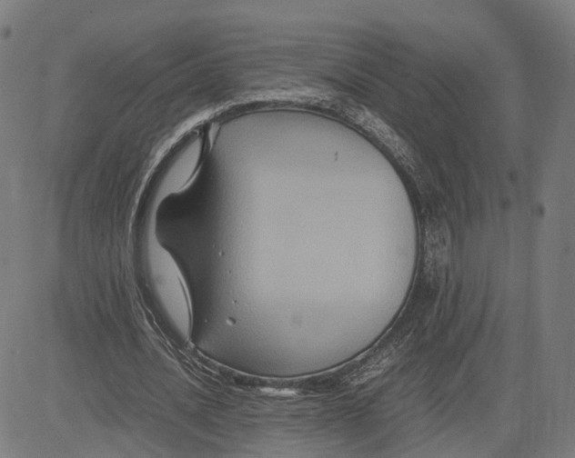 X0000083640628200703121720