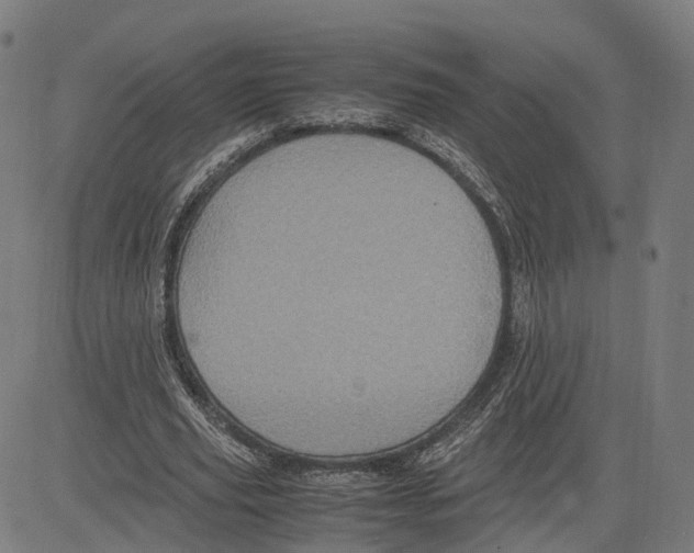 X0000083640629200703121720