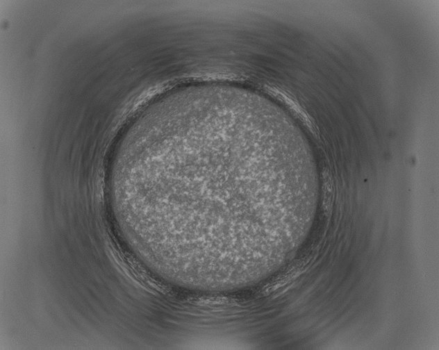 X0000083640631200703121720