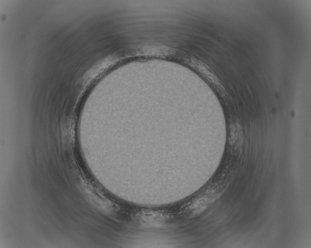 X0000083640632200703121720