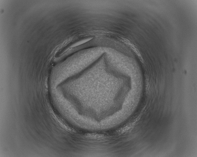 X0000083640633200703121720