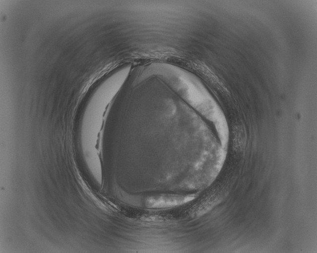 X0000083640634200703121720