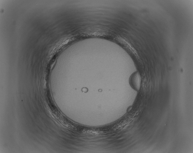 X0000083640635200703121720