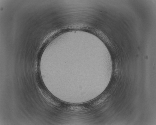 X0000083640636200703121720