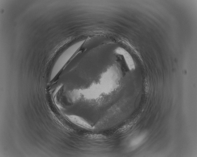 X0000083640637200703121720