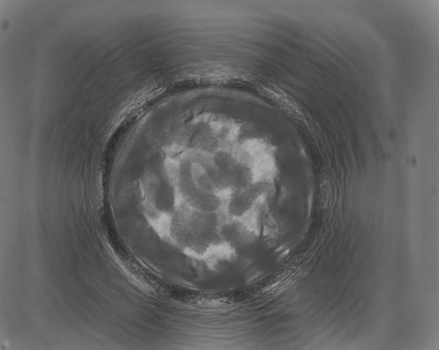 X0000083640638200703121720