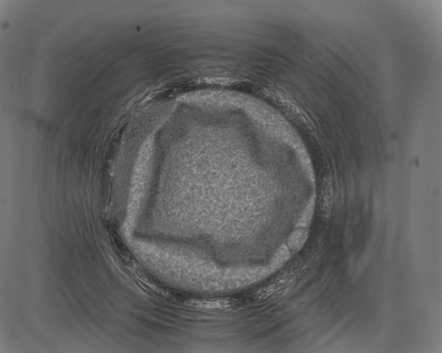 X0000083640639200703121720