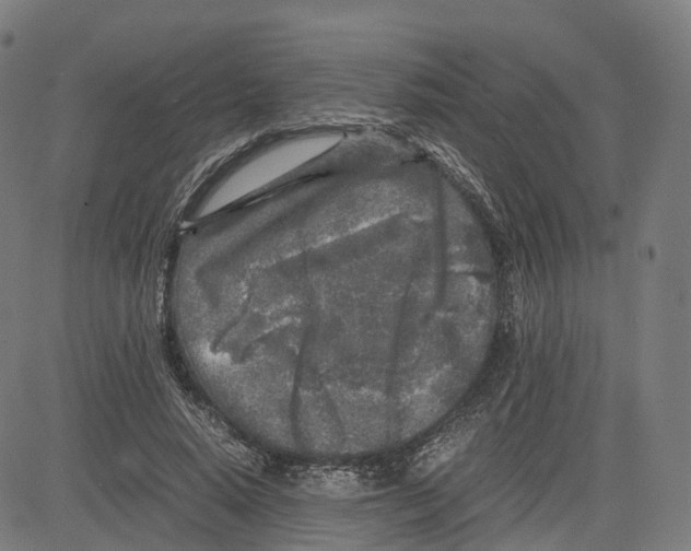 X0000083640640200703121720