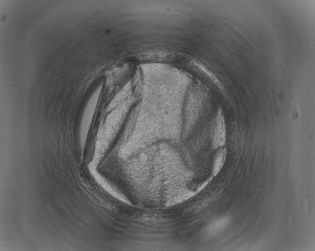 X0000083640641200703121720