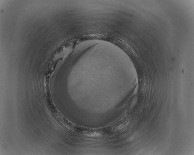 X0000083640643200703121721