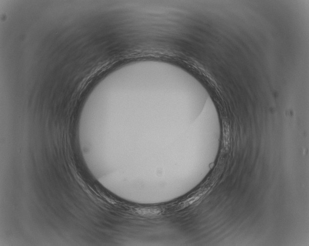 X0000083640644200703121721