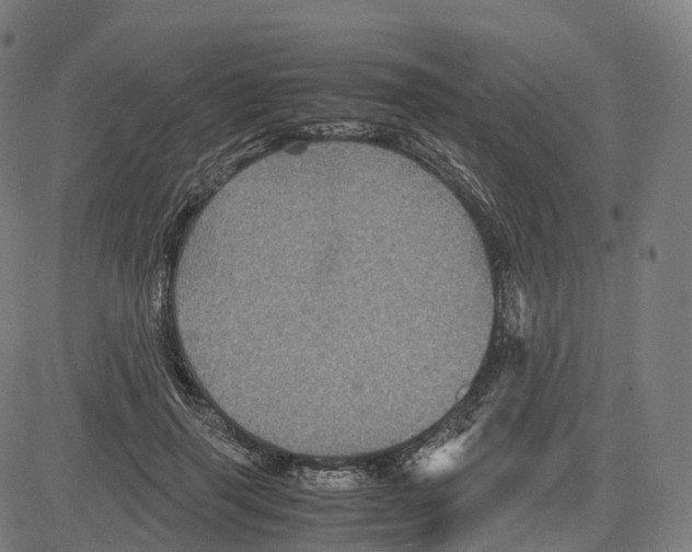 X0000083640645200703121721