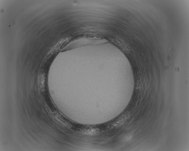 X0000083640646200703121721