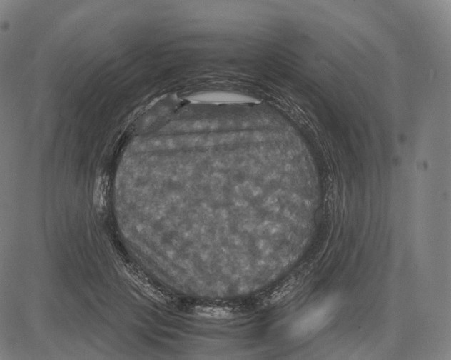 X0000083640649200703121721