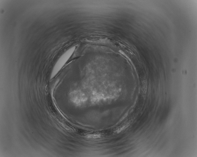 X0000083640653200703121721