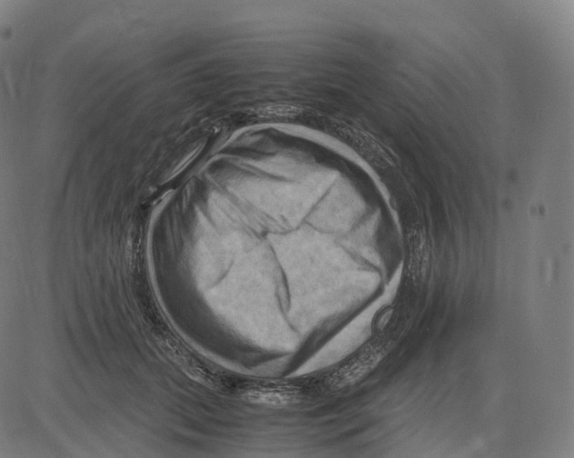 X0000083640655200703121721