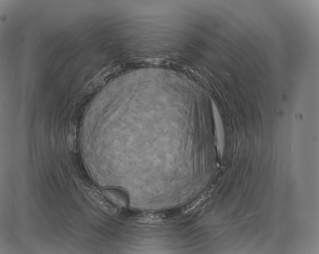 X0000083640656200703121721