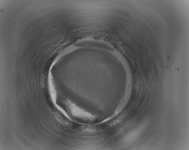 X0000083640658200703121721