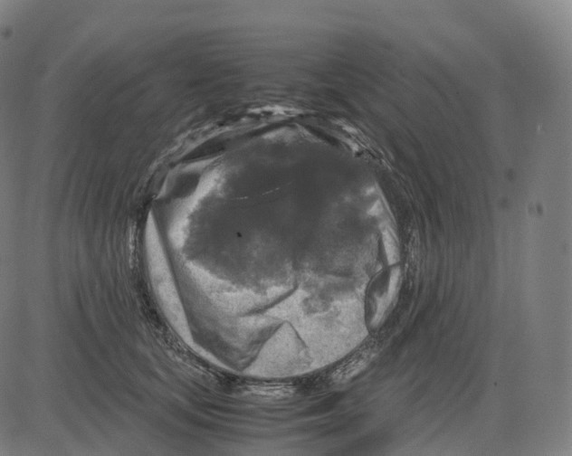 X0000083640659200703121721