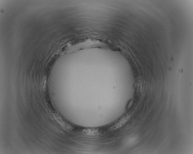 X0000083640660200703121721