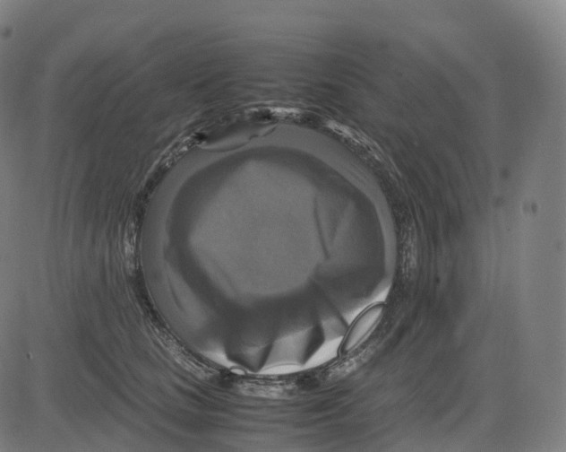 X0000083640661200703121721