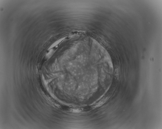 X0000083640662200703121721