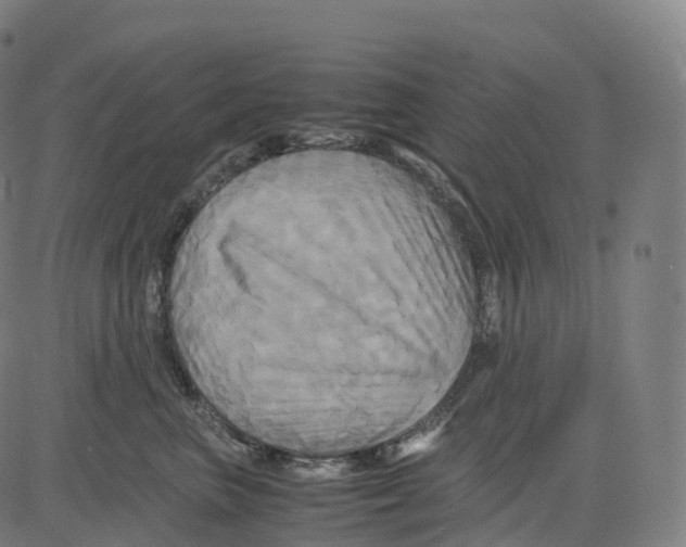 X0000083640667200703121721