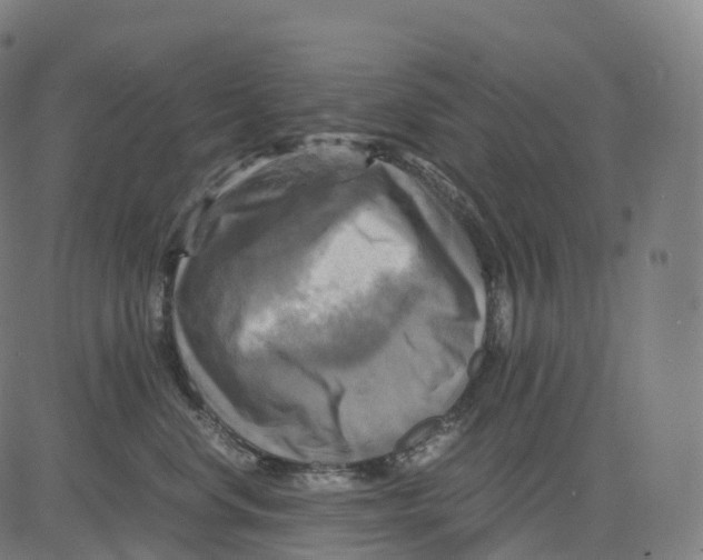 X0000083640668200703121721