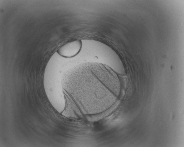 X0000083640672200703121721