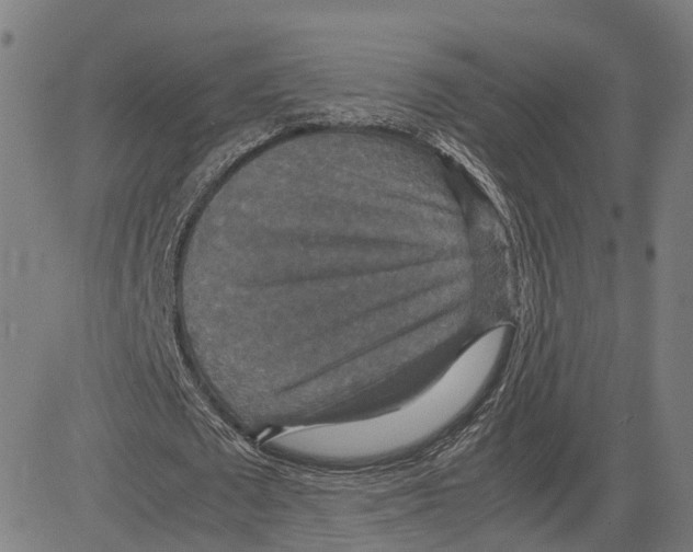 X0000083640673200703121720