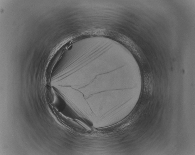 X0000083640674200703121720