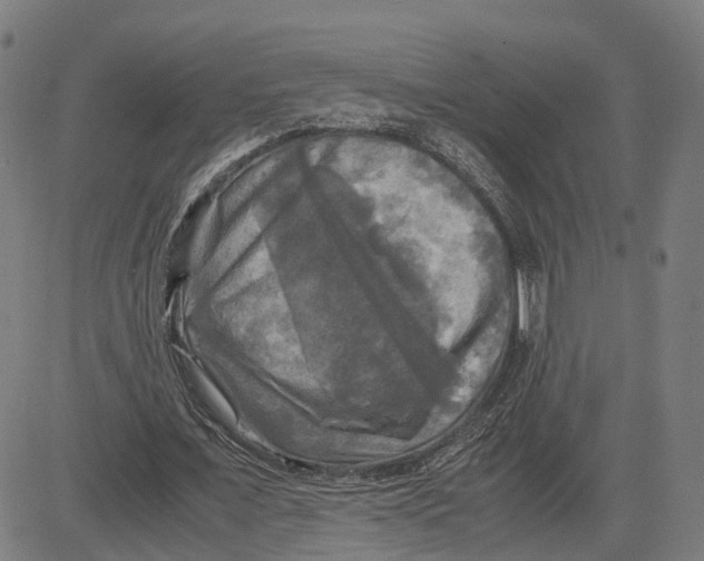 X0000083640675200703121720