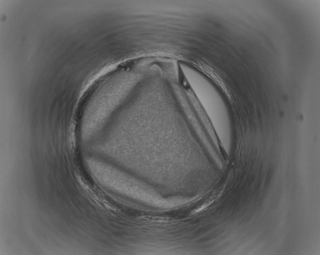 X0000083640676200703121720