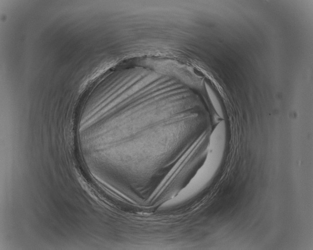 X0000083640677200703121720