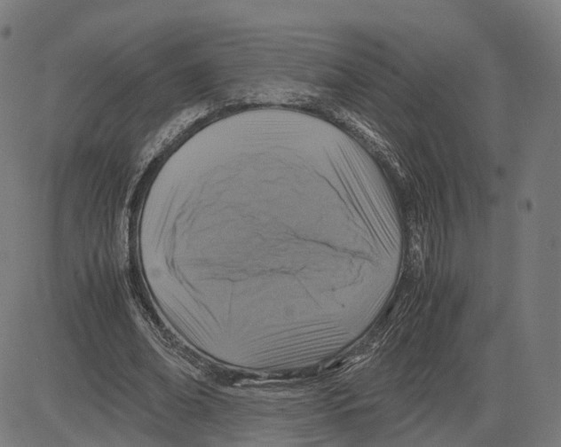 X0000083640678200703121720