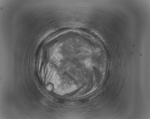 X0000083640679200703121720