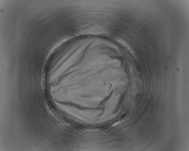 X0000083640680200703121720