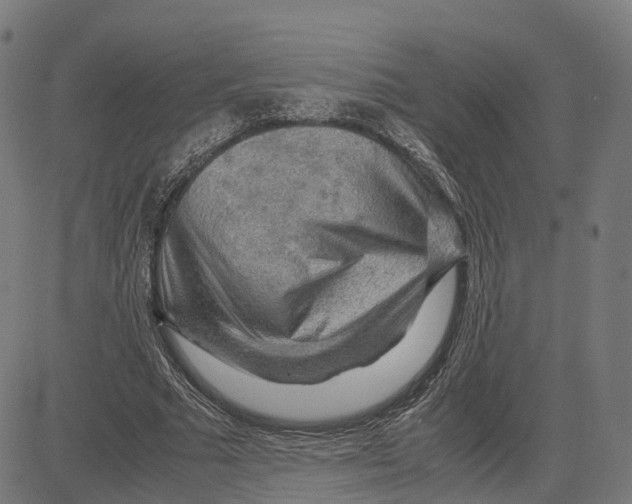 X0000083640681200703121720